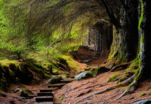 Wicklow Mountains